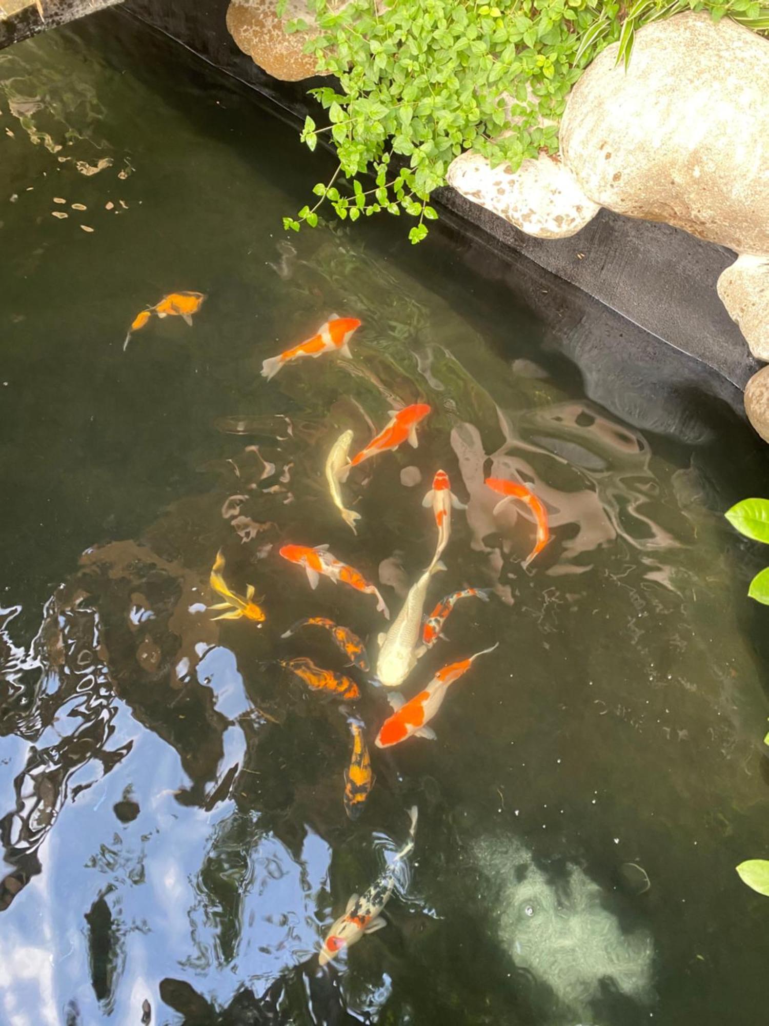 Lemon Tree Homestay Tam Coc Нин Бин Екстериор снимка